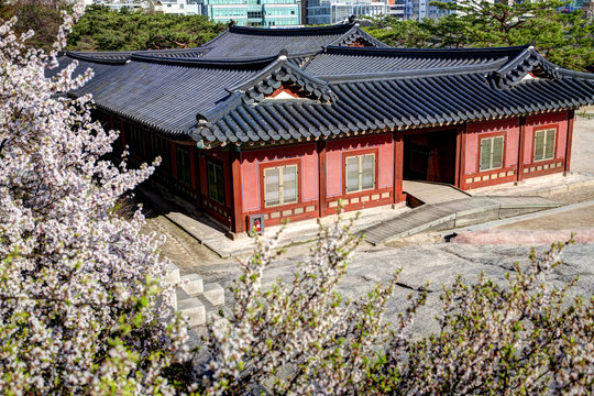 Korean Palace - Changgyeonggung