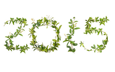 2015 word of creeper flower