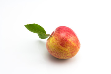 Ripe apple with leaf