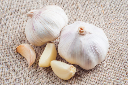 Organic garlic whole and cloves on the wooden background