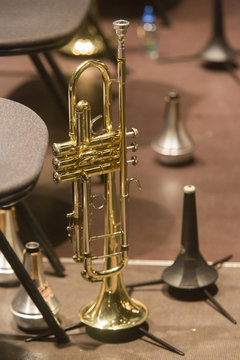 TROMPETTE_01