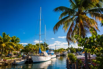 Fotobehang Boats and palm trees at a marina in Marathon, Florida. © jonbilous