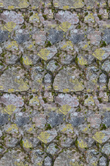 stones in moss and lichen seamless background