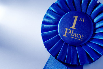 Blue 2nd place winners rosette