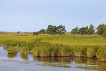 Bodstedter Bodden
