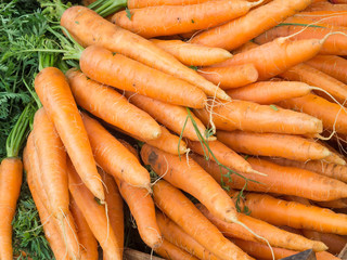 Karotten vom Markt