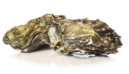 Ostras