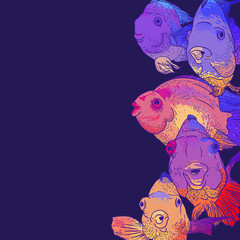 Colorful Greeting Card with Fish