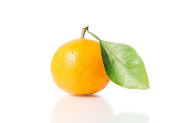 Orange fruit isolated