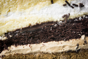 Chocolate cake isolated
