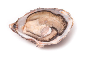 Raw oyster isolated on a white studio background.