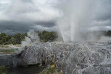 Geyser. New Zealand