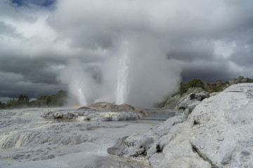 Geyser. New Zealand