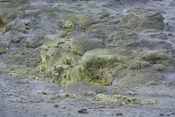 Volcanic terrain. New Zealand