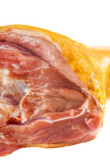 raw pork shank close-up