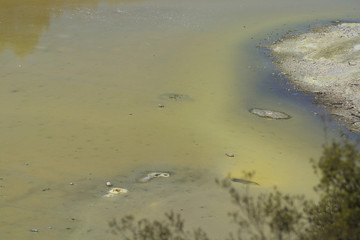 Champagne pool. New Zealand