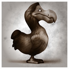 Dodo © Julien Tromeur