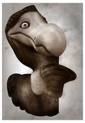 Dodo © Julien Tromeur