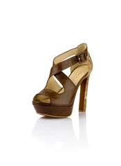 Fashionable women shoe