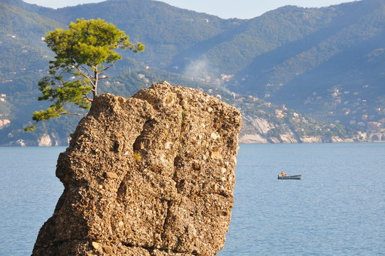 rocher