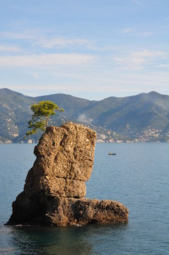 M&eacute;diterran&eacute;e