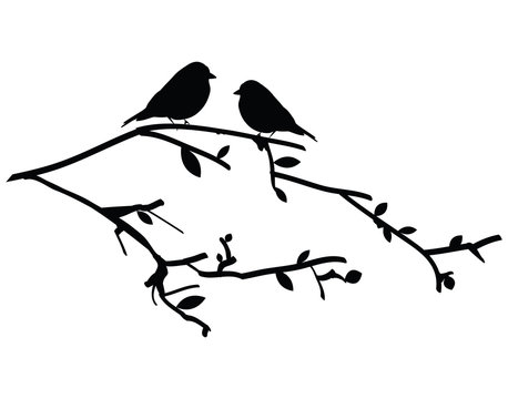 Vector silhouette birds on a tree branch