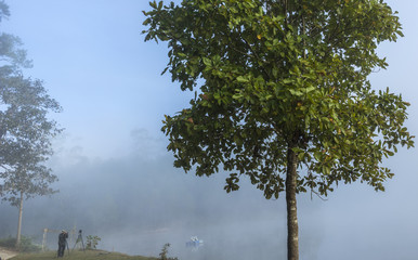 Misty Morning