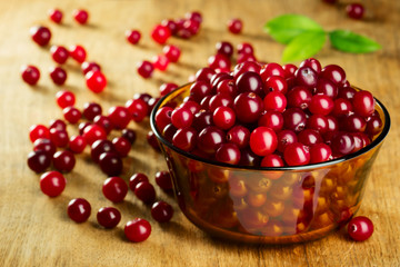 Fresh ripe cranberries