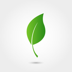 Fototapeta premium Eco icon with green leaf