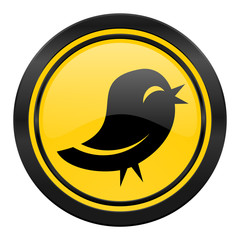 twitter icon, yellow logo,