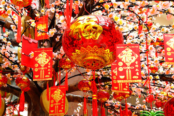 Chinese New Year Decoration.