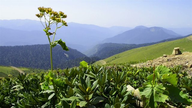 Caucasus Mountains Rosa Peak