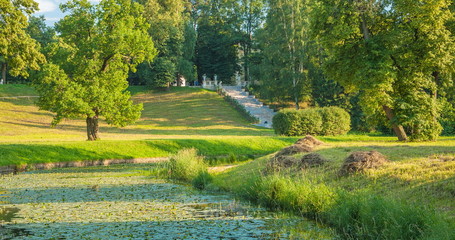 Summer landscape with Pavlovsk Park