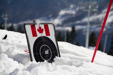 target for biathlon on the snow