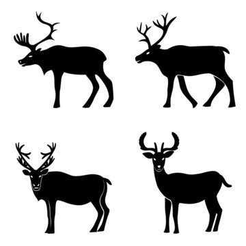 Deer collection