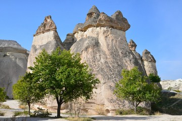 Fototapeta na wymiar Paşabağı Valley