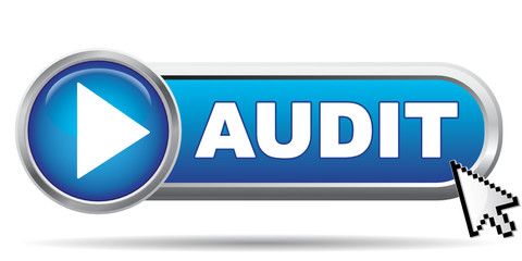 AUDIT ICON
