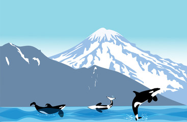 Orka © floki