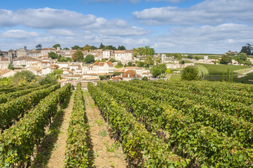 Fototapeta na wymiar Vineyard at Saint-Emilion, France