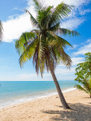 Tropical beach of Koh Samui island