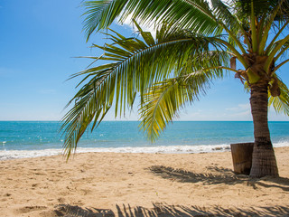 Obraz na płótnie Canvas Tropical beach of Koh Samui island