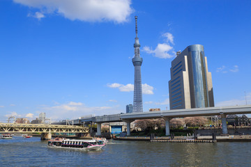 Fototapeta na wymiar Tokyo Sky Tree and Sumida river in Tokyo
