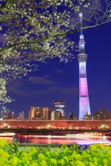 Zelfklevend Fotobehang Cherry blossoms and the Tokyo Sky Tree in Tokyo at night © Scirocco340
