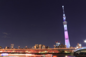 Obraz premium Tokyo Sky Tree and Sumida river in Tokyo at night