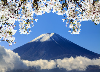 Fototapety  święta góra Fuji na tle błękitnego nieba w Japonii