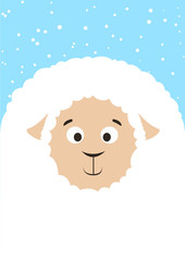 White sheep winter