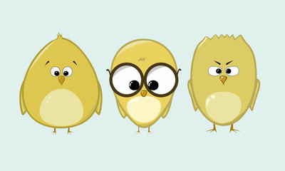 Three different shapes of chick