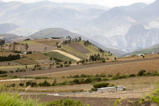 Campos cultivados en la sierra de Ecuador