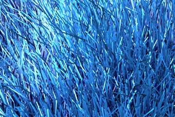 hair grass background in multiple blue