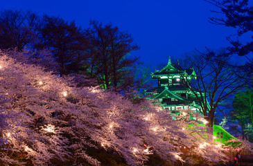 Cherry blossoms at the Takada Park and the Takada Castle in Joet